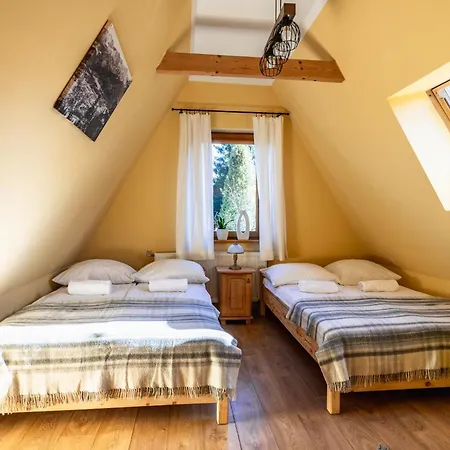 Stroma 13 * ザコパネ